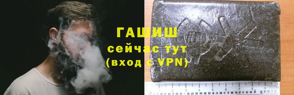 дмт Пестово