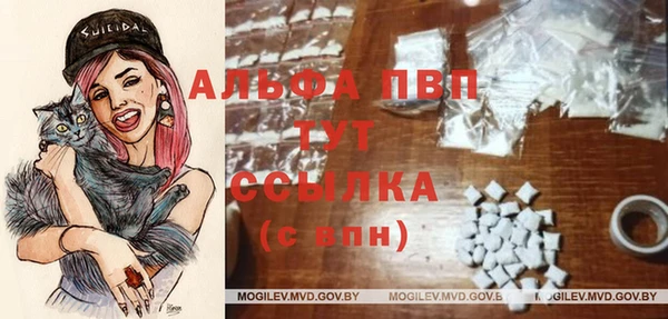 скорость Алексин