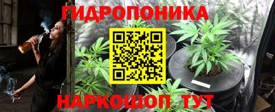 Альфа ПВП Пенза