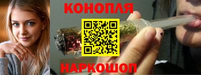 Альфа ПВП Пенза