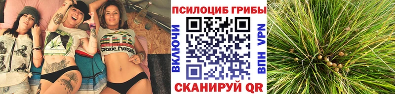 OMG онион  Тайшет  Псилоцибиновые грибы ЛСД 