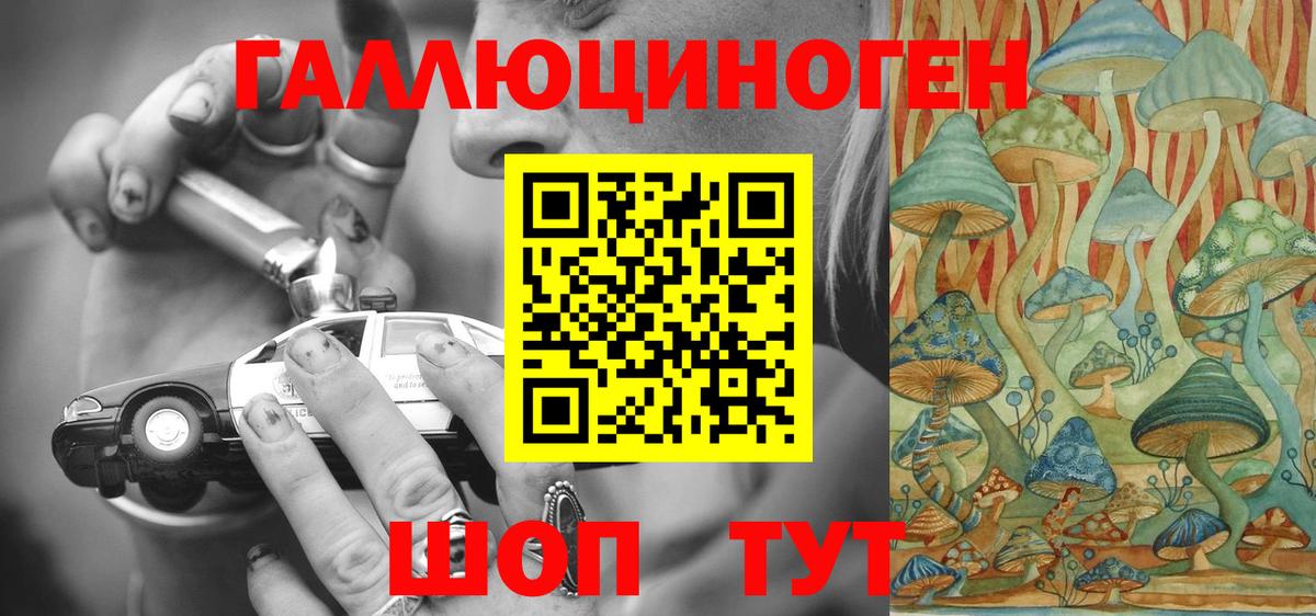 Тайшет  Галлюциногенные грибы Magic Shrooms  Вход с VPN 